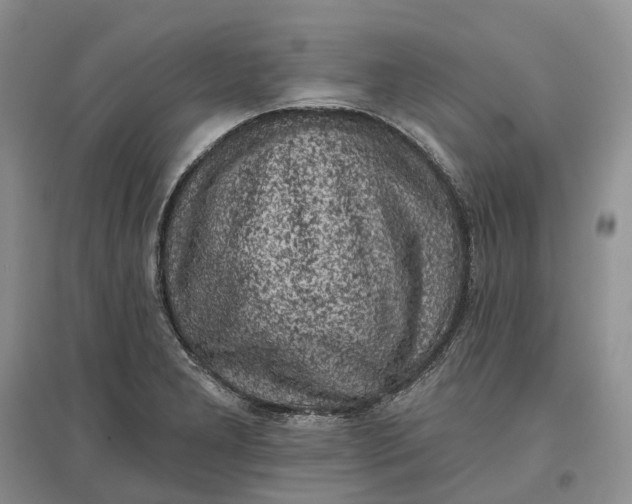 X0000097591277200803141846