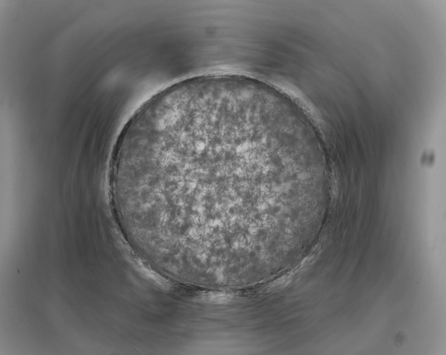 X0000097591278200803141846