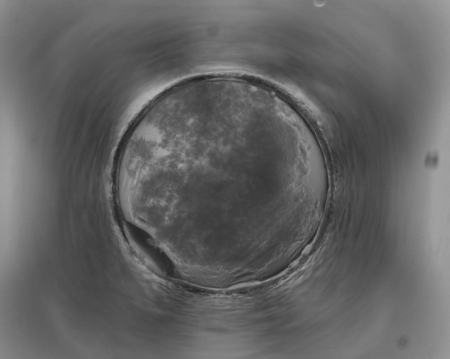 X0000097591279200803141846