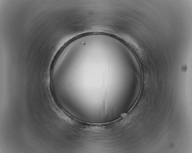 X0000097591280200803141846