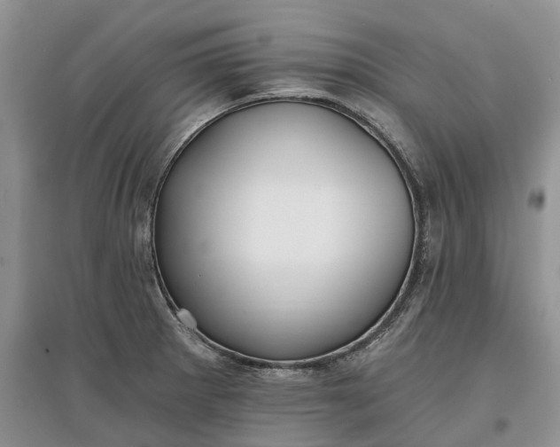 X0000097591281200803141846