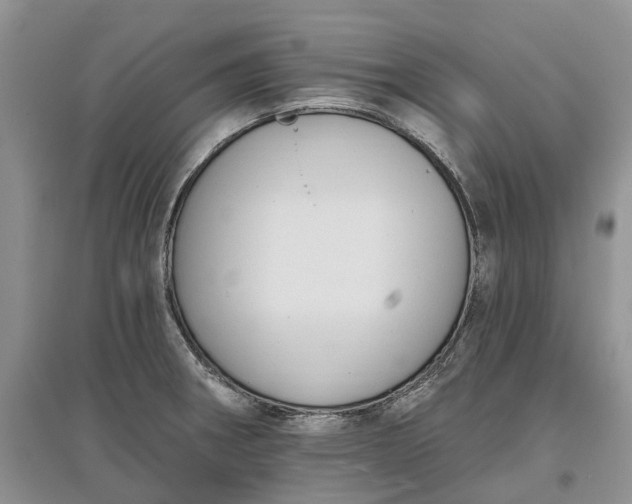 X0000097591282200803141846