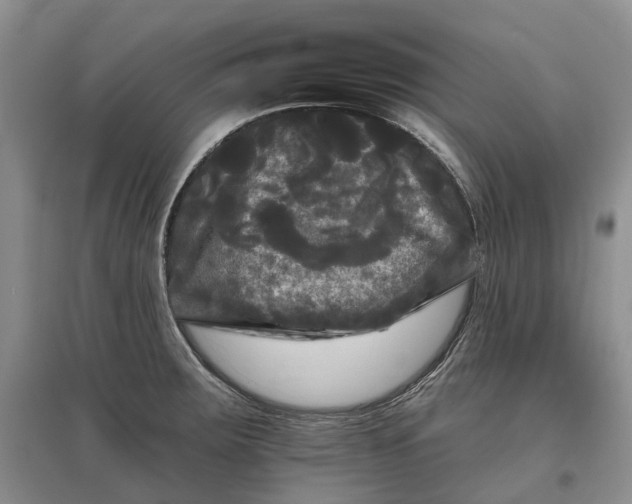 X0000097591283200803141846