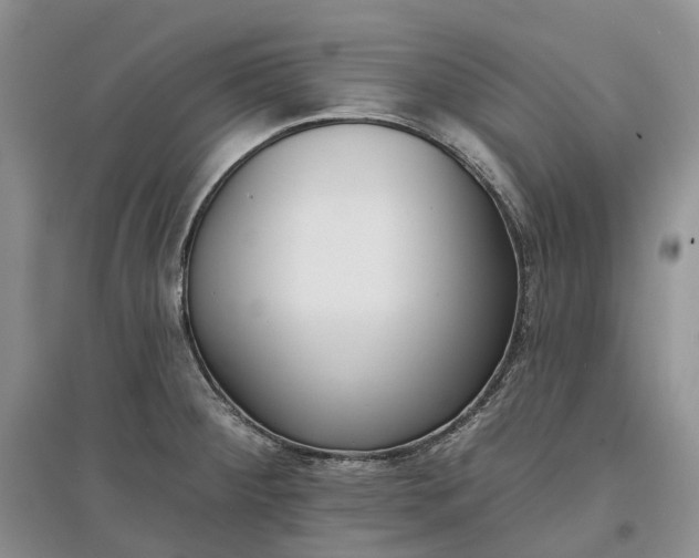 X0000097591284200803141846