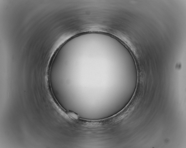 X0000097591285200803141846