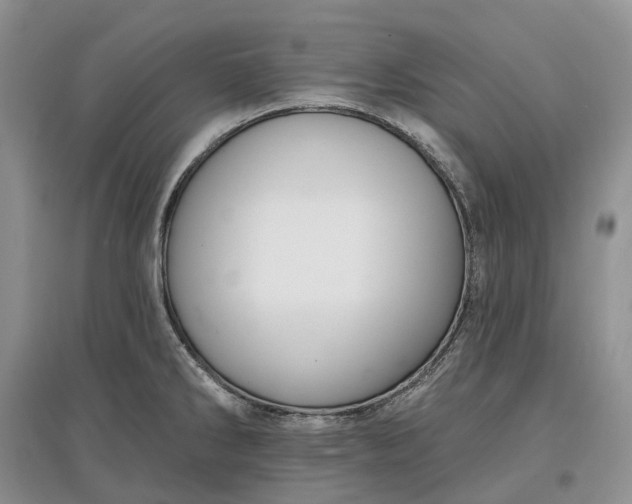 X0000097591286200803141846