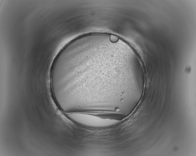 X0000097591287200803141846