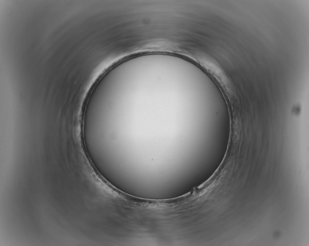 X0000097591288200803141846