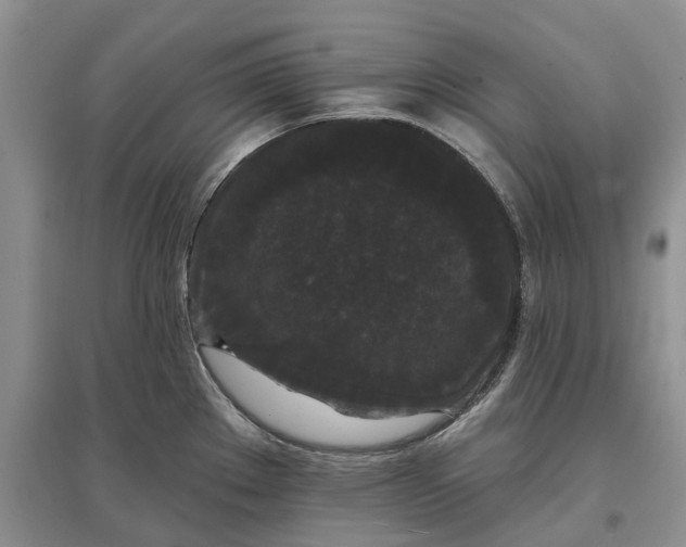 X0000097591289200803141846