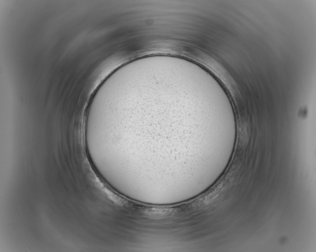 X0000097591290200803141846