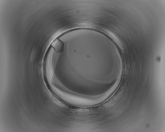 X0000097591291200803141846