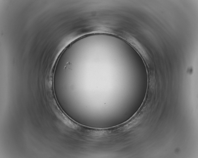 X0000097591292200803141846