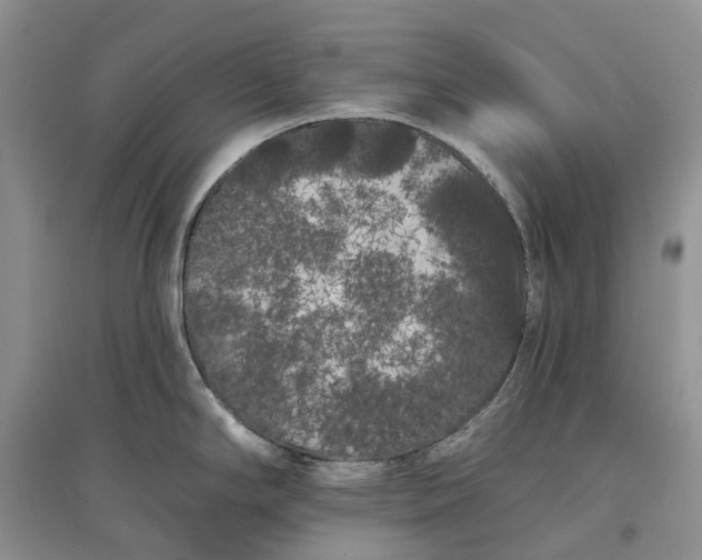 X0000097591294200803141846