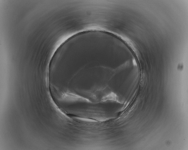 X0000097591295200803141846