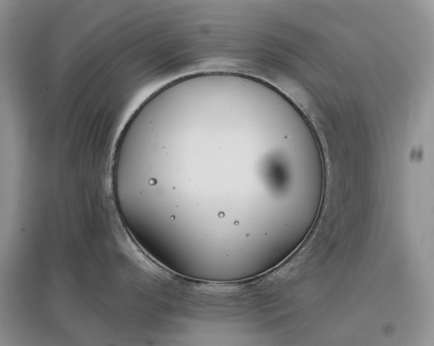 X0000097591296200803141846