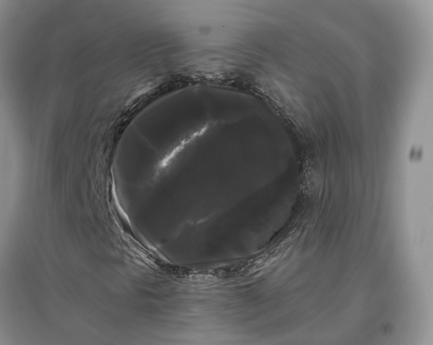 X0000097591297200803141846