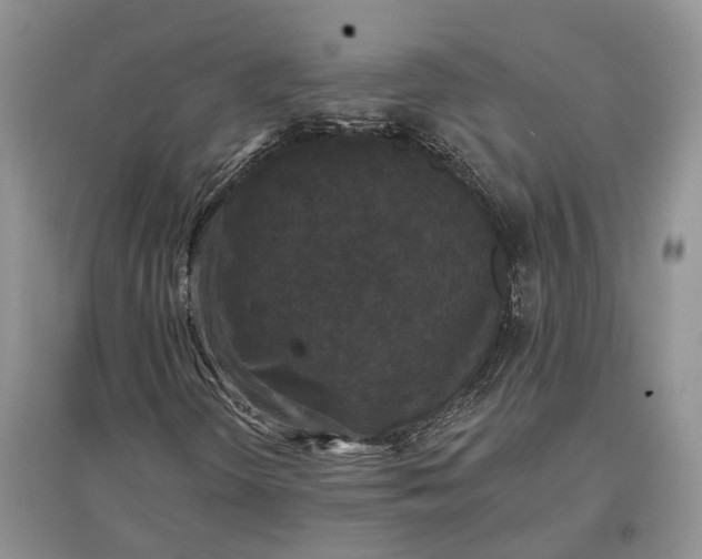 X0000097591298200803141846