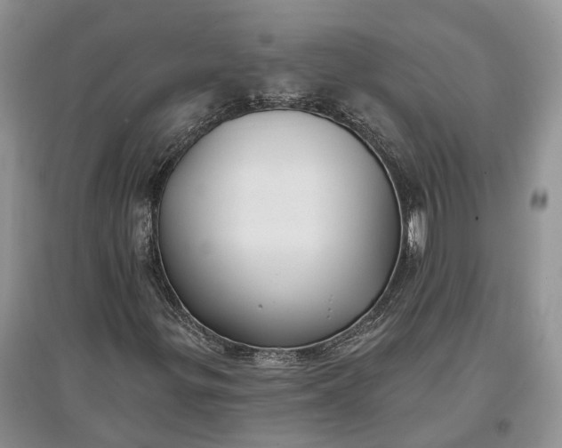 X0000097591299200803141846