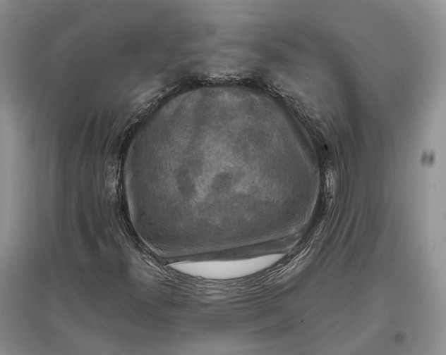 X0000097591300200803141846