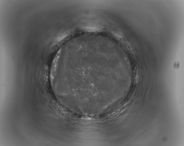 X0000097591301200803141846