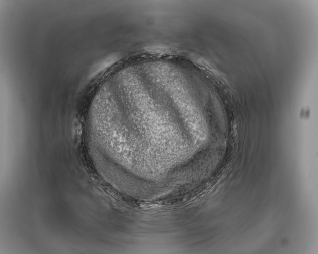 X0000097591302200803141846