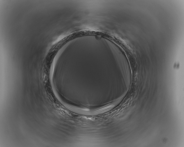 X0000097591303200803141846