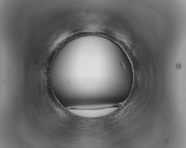 X0000097591304200803141846