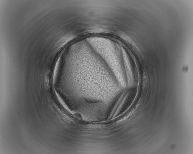 X0000097591305200803141846