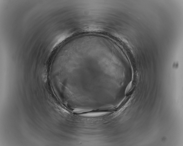 X0000097591306200803141846