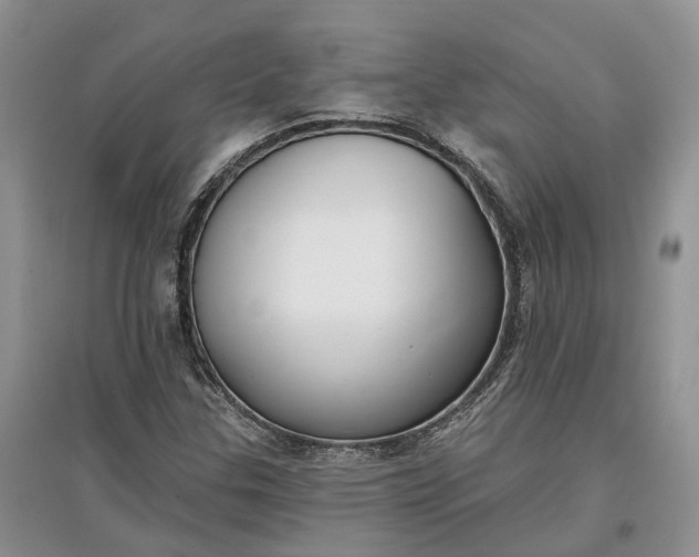 X0000097591307200803141846