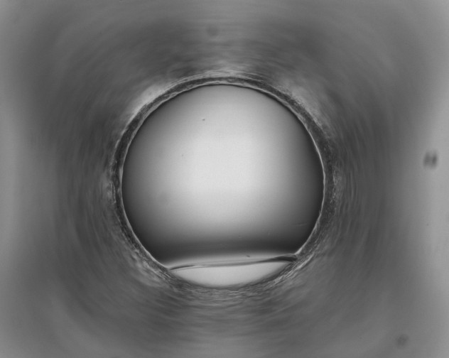 X0000097591308200803141846