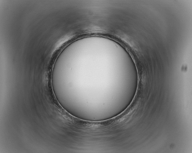 X0000097591309200803141846