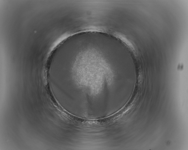 X0000097591310200803141846