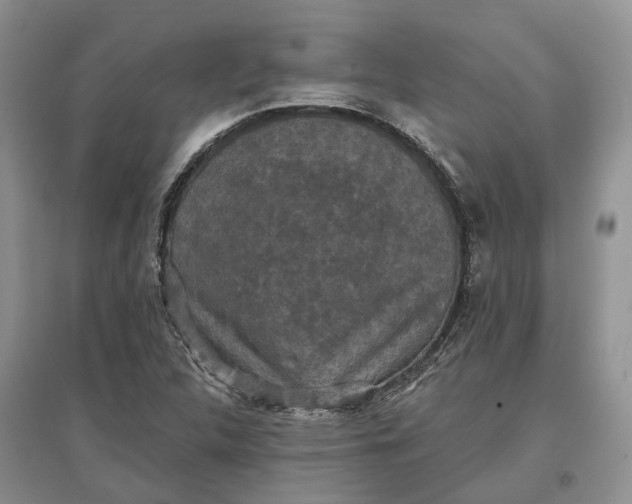 X0000097591312200803141846