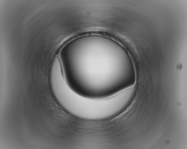 X0000097591313200803141846