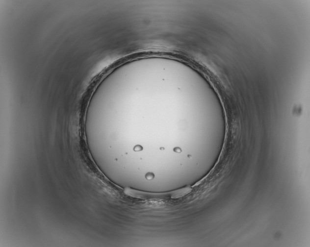 X0000097591315200803141846