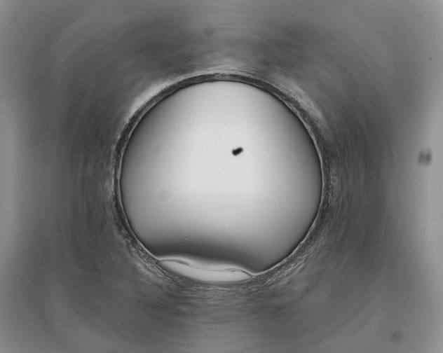 X0000097591316200803141846