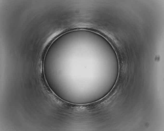 X0000097591317200803141846