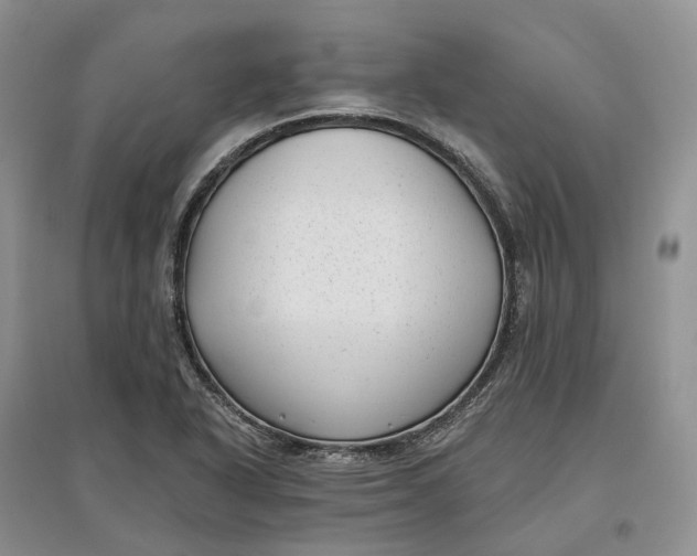 X0000097591318200803141846