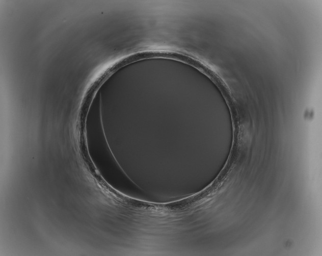 X0000097591319200803141846