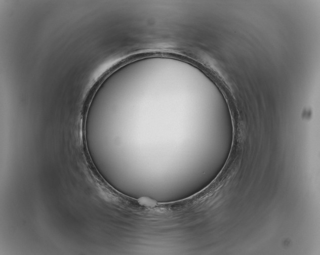 X0000097591320200803141846