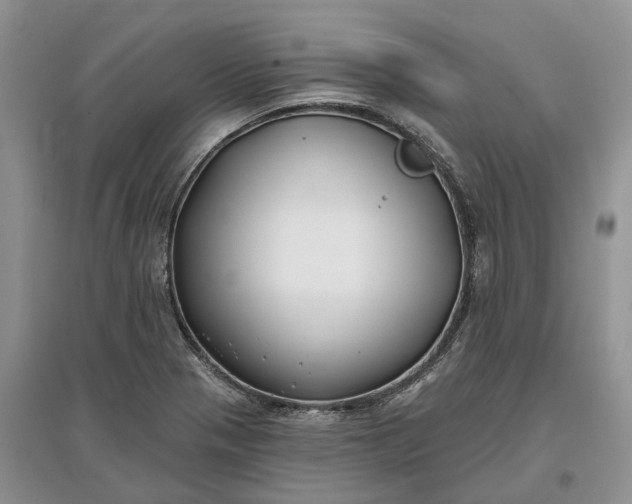 X0000097591321200803141846