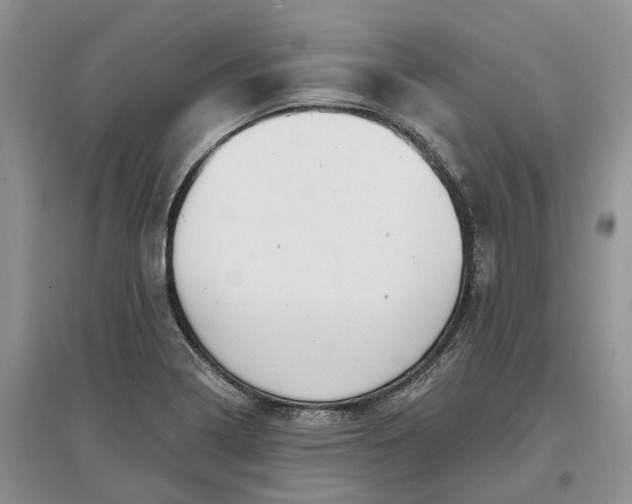 X0000097591322200803141846