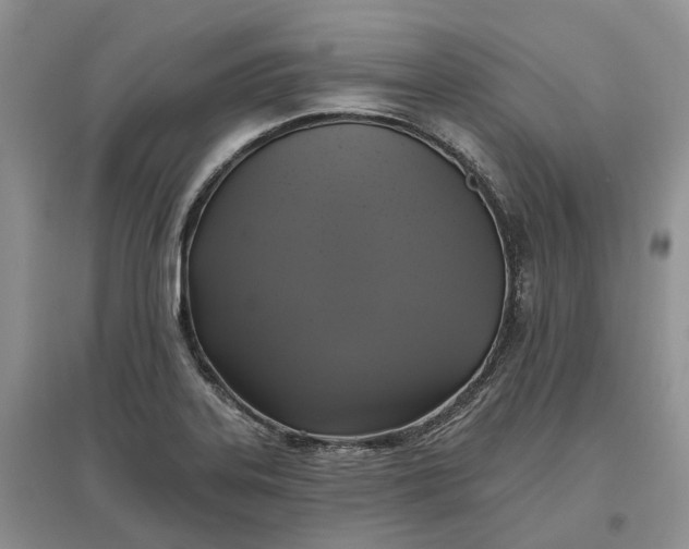 X0000097591323200803141846