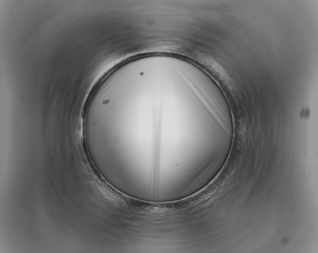 X0000097591324200803141846