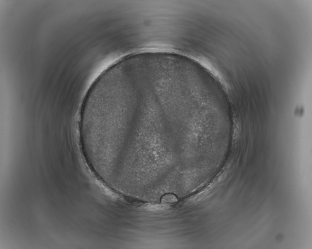 X0000097591325200803141846