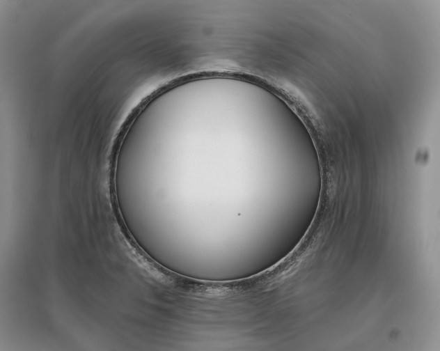 X0000097591326200803141846