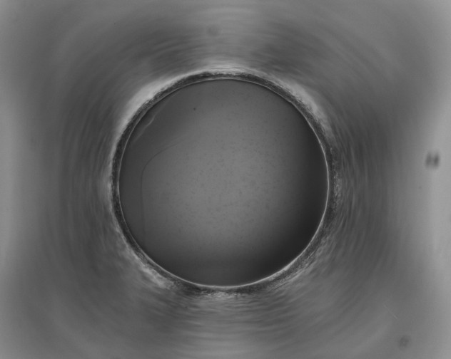 X0000097591327200803141846