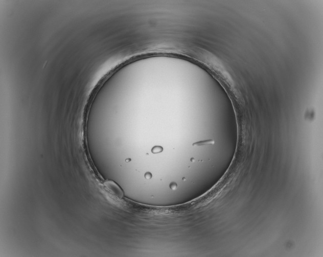 X0000097591328200803141846