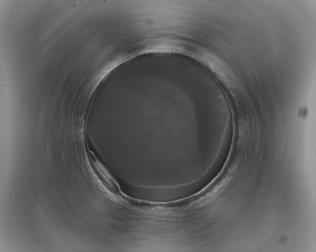 X0000097591329200803141846